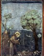 GIOTTO di Bondone Sermon to the Birds oil